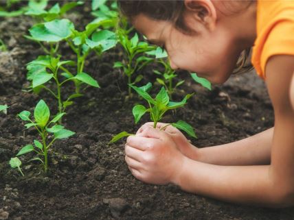 Devojčica sadi biljke u bašti