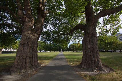 Veliki park