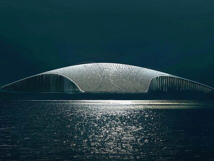 The Whale muzej