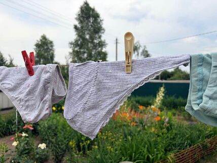 Donji veš na žici