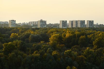 novi beograd zelenilo.jpg