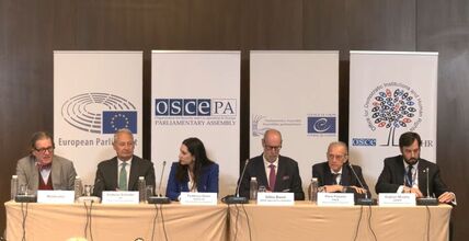 Evropski posmatrači parlamentarnih izbora u Srbiji