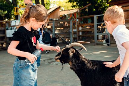 Zoo vrt i infekcije