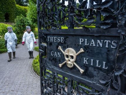 Kapija vrt Alnvik, u Engleskoj, na kome stoji lobanja i natpis Ove biljke mogu da ubiju
