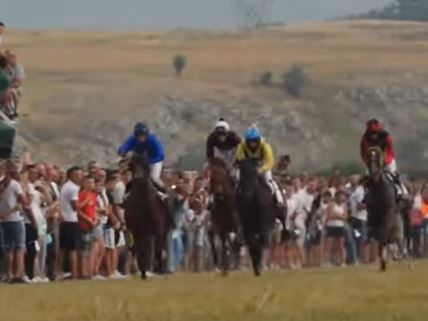 Konjičke trke na Nevesinjskoj olimpijadi