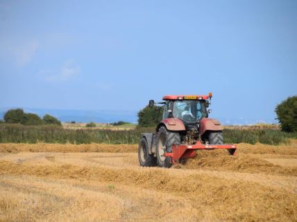 Traktor obavlja žetvu pšenice