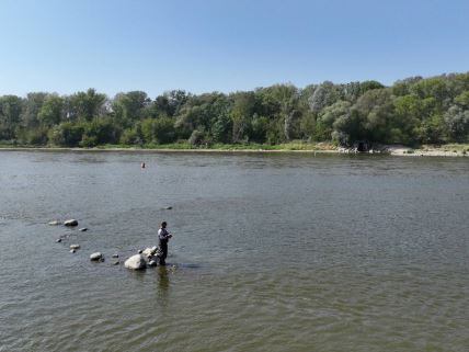 Čovek peca na Visli koja je dostigla rekordno niski vodostaj zbog suše