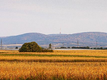 Fruška gora