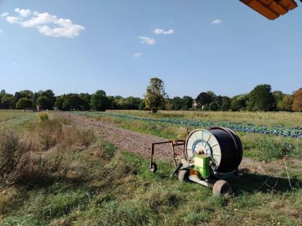 Farma Domane Dalem u Berlinu