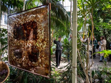 Posetioci se upoznaju sa postavkom izložbe u Botaničkoj bašti tokom art+science  festivala