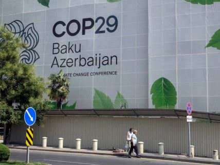 COP29