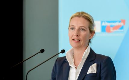 Alis Vajdel