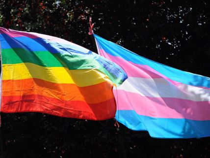 Zastave LGBT i trans zajednice
