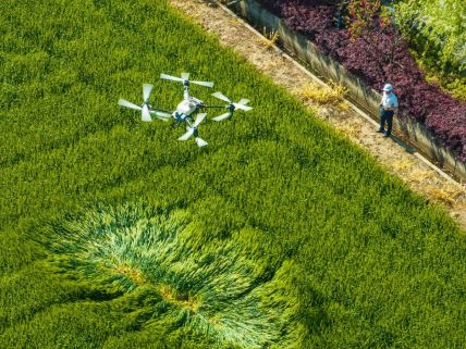 Dronovi se koriste i u poljoprivredi