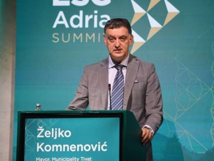 Željko Komnenović (1).jpg