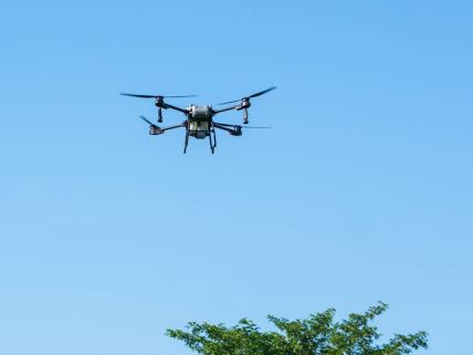 Dron