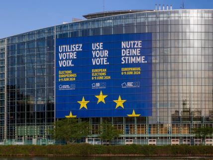 Poziv za izlazak na evropske izbore