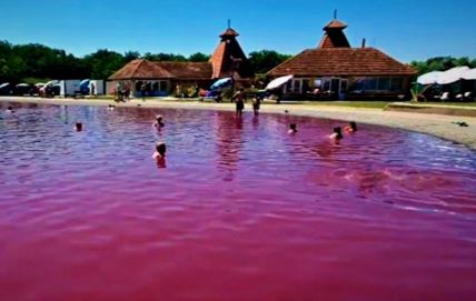 Roze jezero u Bačkoj
