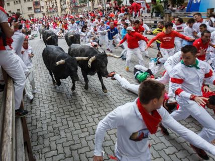 Trka sa bikovima