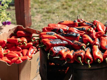 Paprike za ajvar