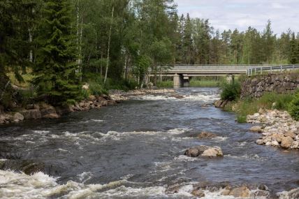 Reka Hitolanjoki u Finskoj, koja je dom za losose, a gde je uklonjen najveći broj brana