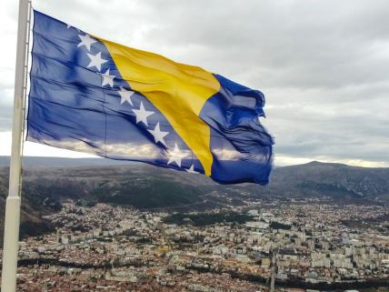 BiH zastava