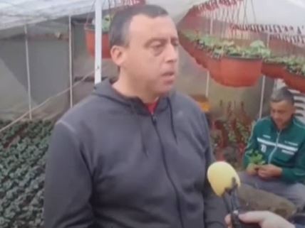 Jovan Mladenović iz Vranja više od 20 godina se bavi uzgajanjem i prodajom cveća