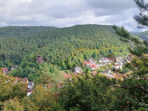 Pogled sa vidikovca u Palatinatskoj šumi