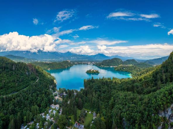 Bled
