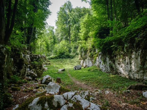 Bela krajina