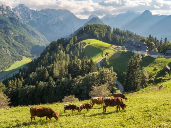 Logarska dolina