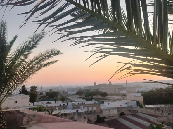 Valeta pogled na grad iz Botaničke bašte