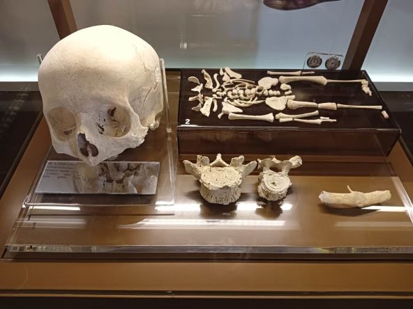 Kosti u muzeju koji pripada kompleksu Katakombe Svetog Pavla