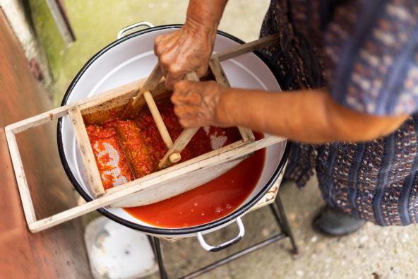 Sara Bogdanov Pasirka