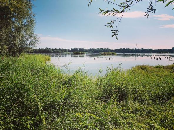 rizelfelder rezervat