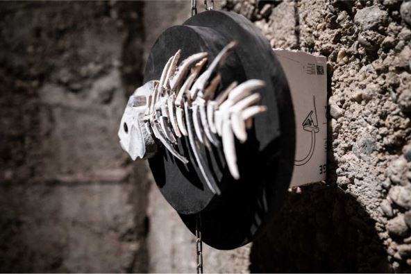 Transparentno Mladi istrazivaci Srbije (17).jpg