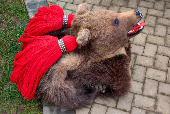 Ples medveda u Rumuniji_2699755813.jpg