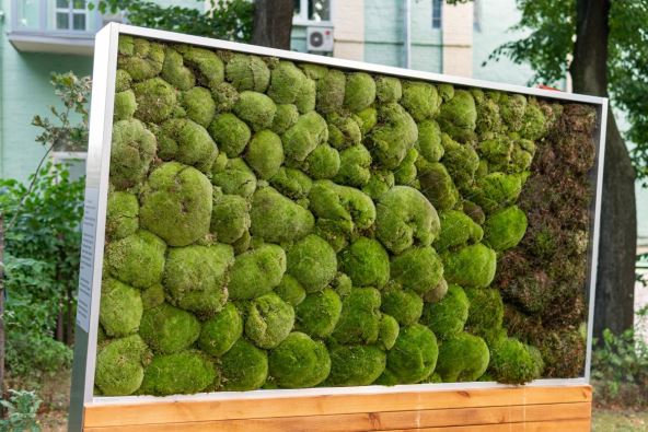 Prećišćivači u gradovima