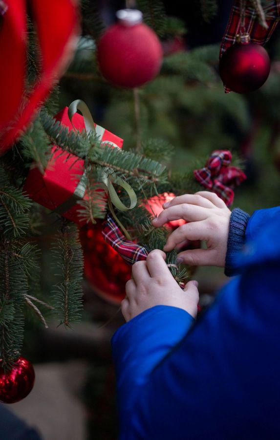 Ukrašavanje Stabla zajedništva.jpg