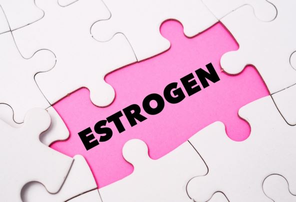 estrogen-shutterstock-2428300283.jpg