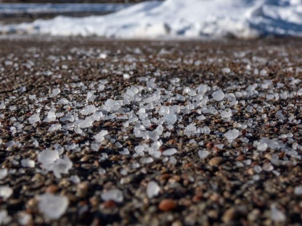 so koja je posuta na ulice tokom zime