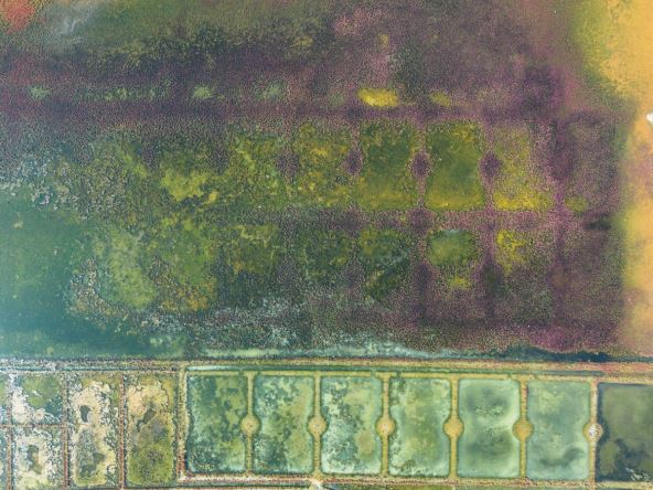 Boje solana u Bretanji