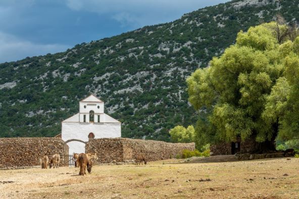 Selo na Sardiniji_2479107485.jpg