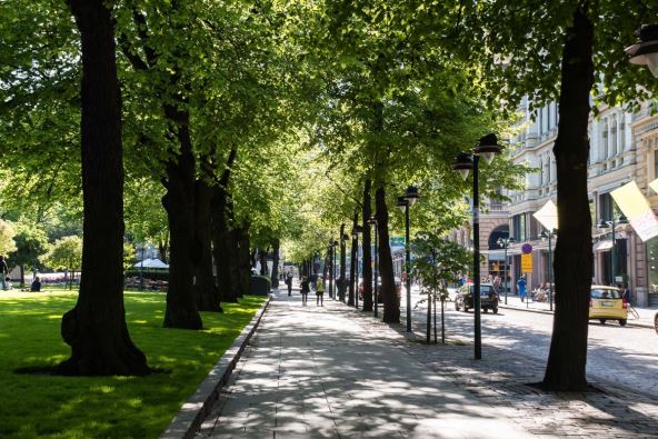 drvored u Helsinkiju