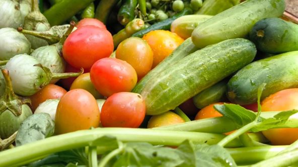 Hrana bogata vlaknima