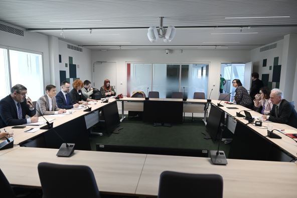 Ana Brnabić, Gert Jan Kopman