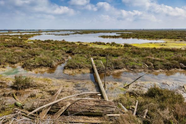 Močvara oko Torčela