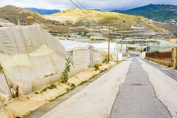 plastenici u Andaluziji