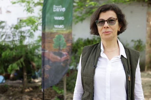 Slađana Dabić, JP „Vojvodinašume“