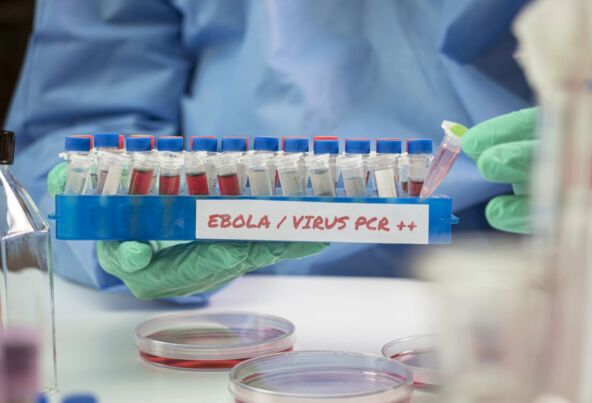 Epidemija ebole